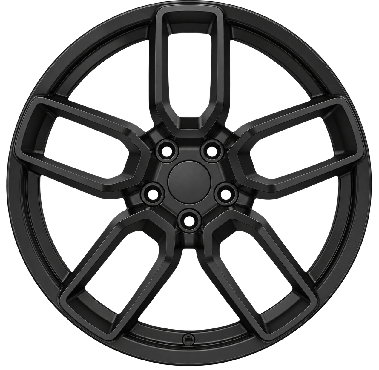 REP DG10 - Image 2
